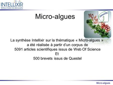 Micro-algues La synthèse Intellixir sur la thématique « Micro-algues »
