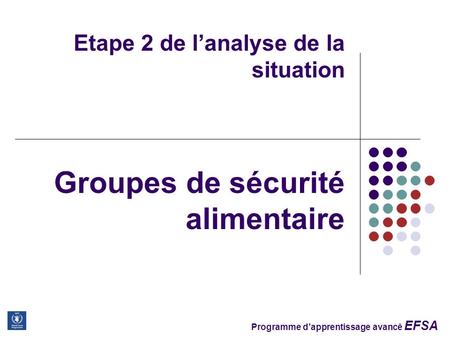Programme dapprentissage avancê EFSA Etape 2 de lanalyse de la situation Groupes de sécurité alimentaire.