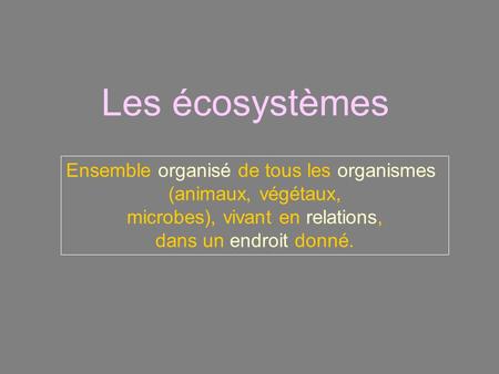 Les écosystèmes Ensemble organisé de tous les organismes