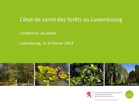L’état de santé des forêts au Luxembourg