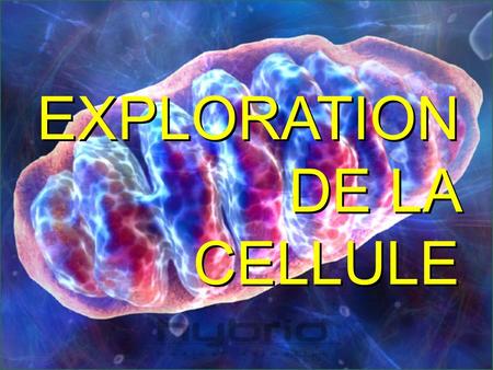 EXPLORATION DE LA CELLULE
