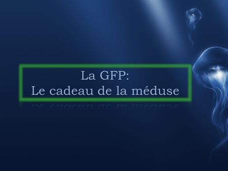 La GFP: Le cadeau de la méduse