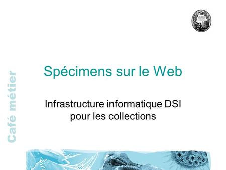 Infrastructure informatique DSI pour les collections