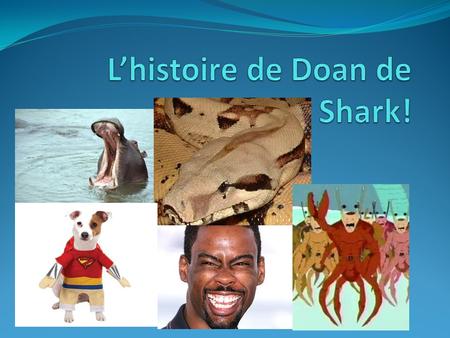 L’histoire de Doan de Shark!