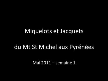 Miquelots et Jacquets du Mt St Michel aux Pyrénées