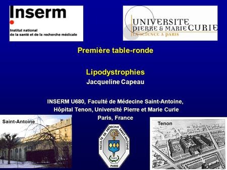 Première table-ronde Lipodystrophies Jacqueline Capeau INSERM U680, Faculté de Médecine Saint-Antoine, Hôpital Tenon, Université Pierre et Marie Curie.