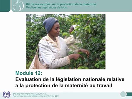 ORGANISATION INTERNATIONALE DU TRAVAIL Programme sur les conditions de travail et demploi (TRAVAIL) 2012 Module 12: Evaluation de la législation nationale.