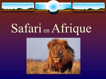 Safari en Afrique. Départ le 24 février au 12 mars 2006 accompagné par Mijanou Lanctot Nicole & Compagnie Voyage « Pourquoi pas vous? »