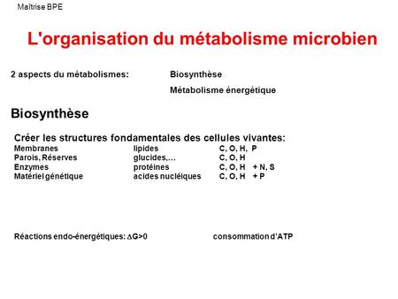 L'organisation du métabolisme microbien