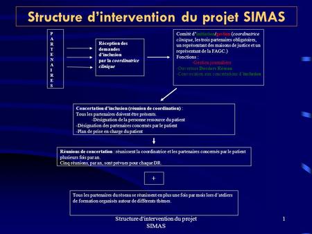 Structure d'intervention du projet SIMAS 1 Réception des demandes dinclusion par la coordinatrice clinique Concertation dinclusion (réunion de coordination)