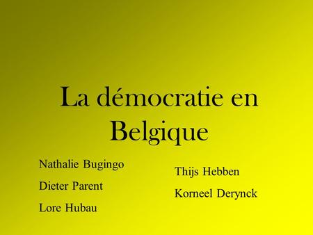 La démocratie en Belgique
