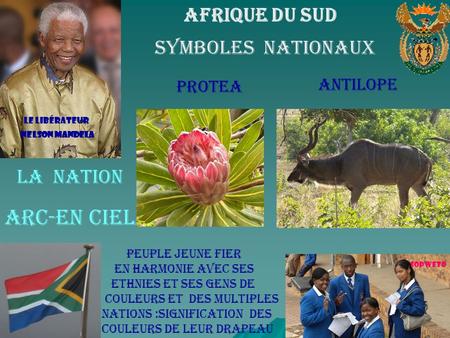 Symboles nationaux Arc-en ciel Afrique Du Sud La Nation Antilope
