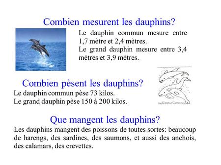 Combien mesurent les dauphins?