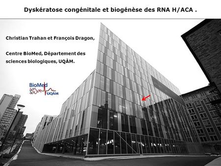 Dyskératose congénitale et biogénèse des RNA H/ACA .
