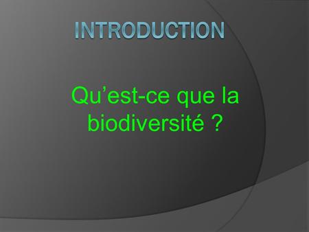 Qu’est-ce que la biodiversité ?