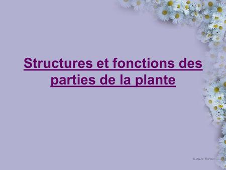 Structures et fonctions des parties de la plante
