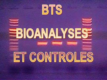 BTS BIOANALYSES ET CONTROLES.