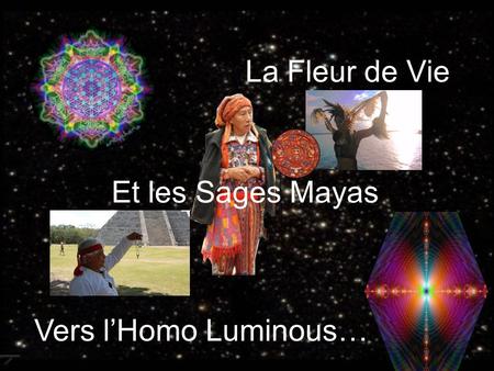 La Fleur de Vie Et les Sages Mayas Vers l’Homo Luminous…