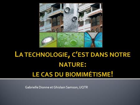 La technologie, c’est dans notre nature: le cas du biomimétisme!