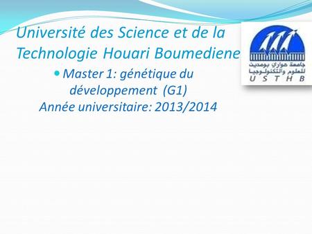 Université des Science et de la Technologie Houari Boumediene