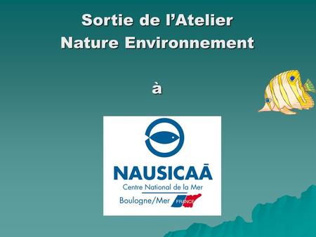 Sortie de lAtelier Nature Environnement à. En arrivant le matin, nous avons pu visiter les « COULISSES » de Nausicaà guidés par les spécialistes et soigneurs.