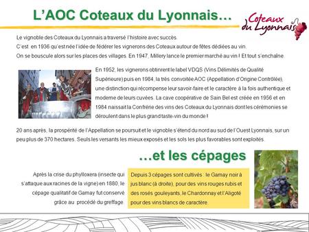 L’AOC Coteaux du Lyonnais…