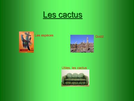 Les cactus Les espèces Quizz Utiles, les cactus.