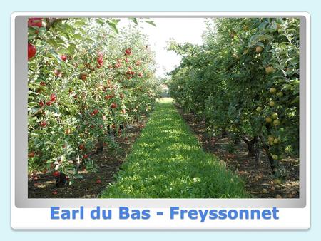 Earl du Bas - Freyssonnet