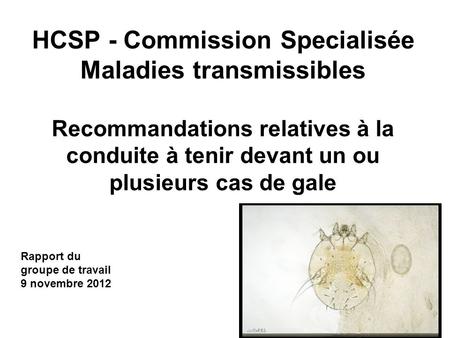 HCSP - Commission Specialisée Maladies transmissibles Recommandations relatives à la conduite à tenir devant un ou plusieurs cas de gale Rapport du groupe.