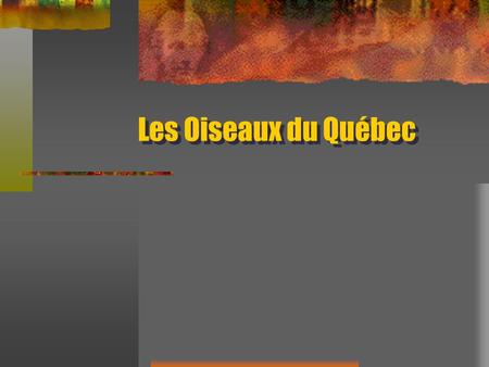 Les Oiseaux du Québec.