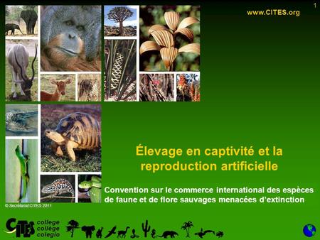 1 Élevage en captivité et la reproduction artificielle www.CITES.org © Secrétariat CITES 2011 Convention sur le commerce international des espèces de faune.