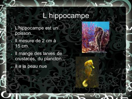 L hippocampe L'hippocampe est un poisson. Il mesure de 2 cm à 15 cm.