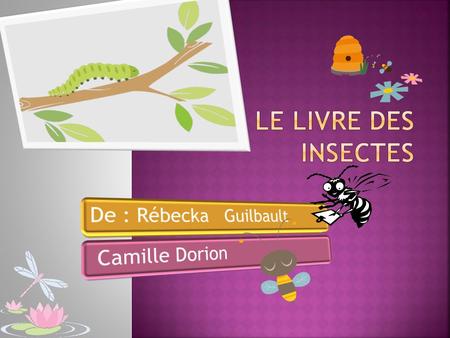 Le livre des insectes De : Rébecka Guilbault Camille Dorion.