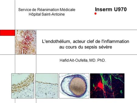 Inserm U970 Service de Réanimation Médicale Hôpital Saint-Antoine