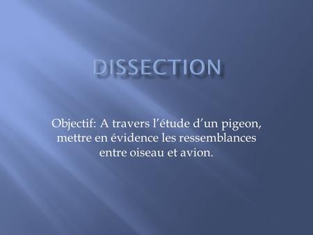 Dissection Objectif: A travers l’étude d’un pigeon, mettre en évidence les ressemblances entre oiseau et avion.