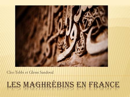 Les Maghrébins en France
