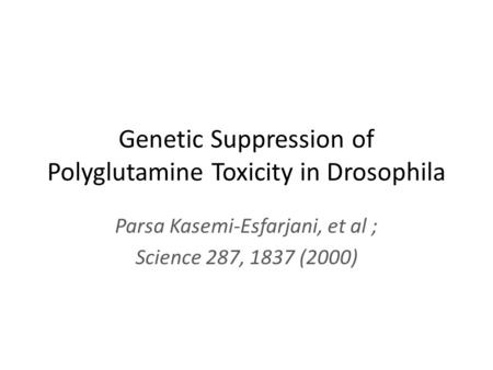Genetic Suppression of Polyglutamine Toxicity in Drosophila