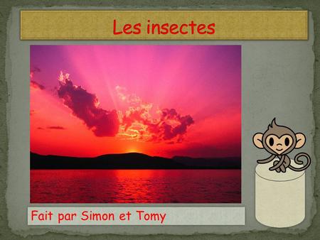 Les insectes Fait par Simon et Tomy.