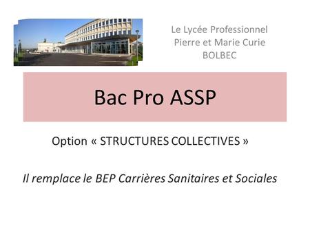 Bac Pro ASSP Option « STRUCTURES COLLECTIVES »