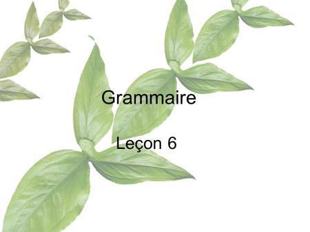 Grammaire Leçon 6.