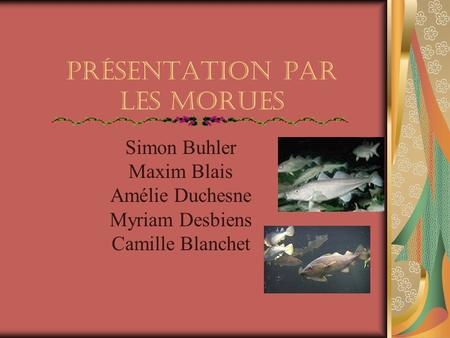 Présentation par Les Morues Simon Buhler Maxim Blais Amélie Duchesne Myriam Desbiens Camille Blanchet.