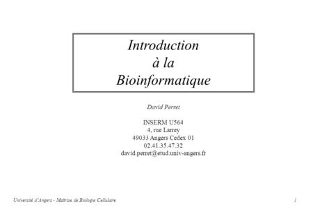 Introduction à la Bioinformatique David Perret INSERM U564