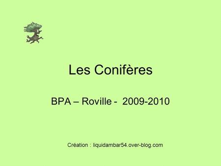 Les Conifères BPA – Roville