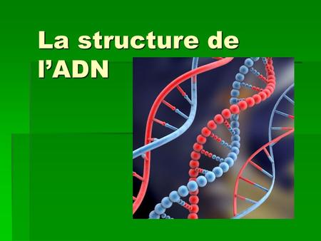 La structure de l’ADN.