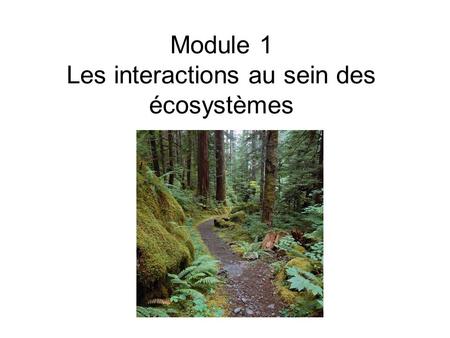 Module 1 Les interactions au sein des écosystèmes