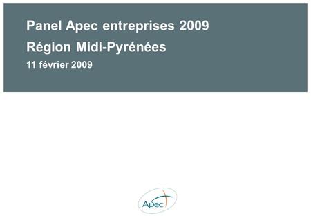 Panel Apec entreprises 2009 Région Midi-Pyrénées 11 février 2009.
