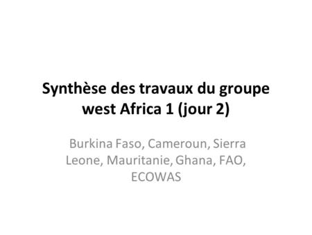 Synthèse des travaux du groupe west Africa 1 (jour 2) Burkina Faso, Cameroun, Sierra Leone, Mauritanie, Ghana, FAO, ECOWAS.