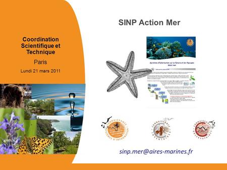 Coordination Scientifique et Technique Paris Lundi 21 mars 2011 SINP Action Mer