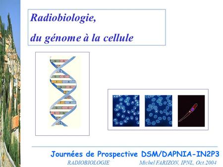 Radiobiologie, du génome à la cellule