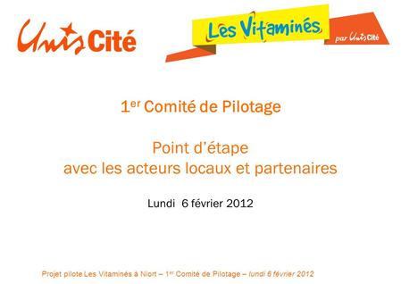 Projet pilote Les Vitaminés à Niort – 1 er Comité de Pilotage – lundi 6 février 2012 1 er Comité de Pilotage Point détape avec les acteurs locaux et partenaires.